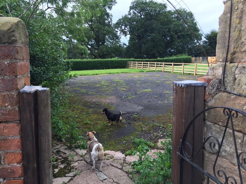Before landscaping — mossy broken tarmac driveway seen through the stone and brick gate piers of the listed farmhouse