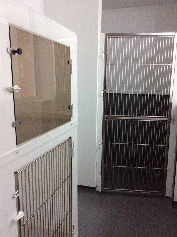 Veterinary cages with tinted glazed doors and a full-height stainless barred isolation run with sealed floor finish
